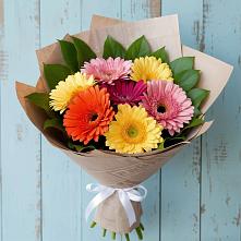 Букет цветов из:  Герберы в Няндоме