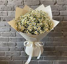 Букет цветов из:  Ромашки #REPLACE_PRED# Няндоме