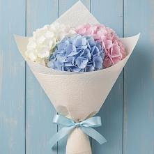 Букет цветов из:  Гортензия в Няндоме