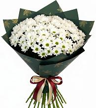 Букет цветов из:  Хризантемы в Няндоме