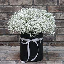 Цветочная композиция из Гипсофила в шляпной коробке в Няндоме