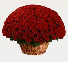 Премиум букет из: Розы в Няндоме